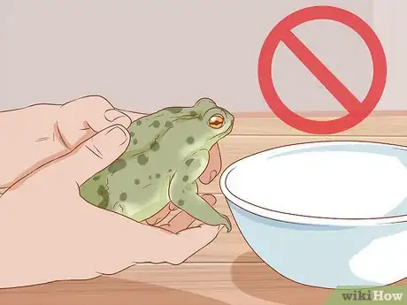 Image titled Bathe Your Frog Step 4