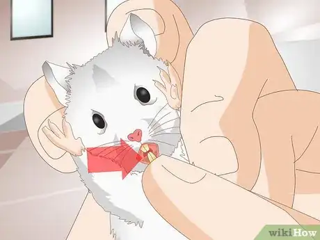 Image titled Clean a Hamster's Teeth Step 6