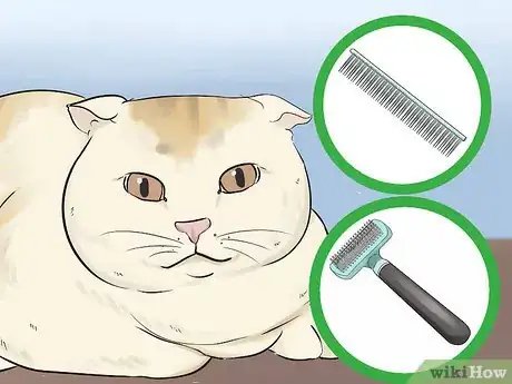 Image titled Take Care of a Scottish Fold Step 2