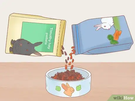 Image titled Feed Your Rabbit with Pellets Step 10