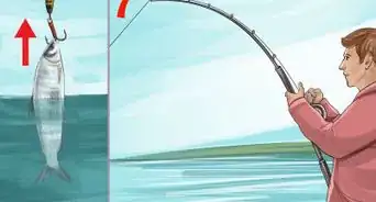 Catch Whitefish