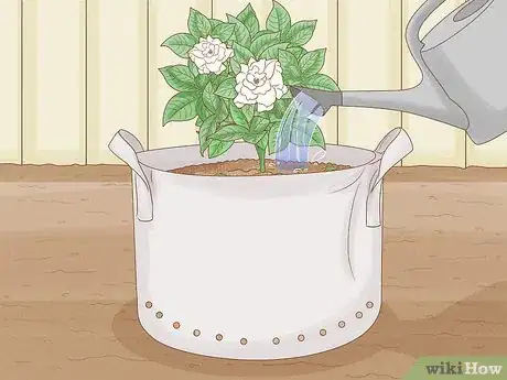Image titled Use Growing Bags for Plants Step 10