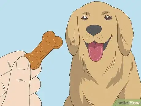 Image titled Teach Your Dog to Speak Step 3