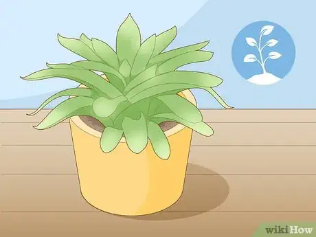 Image titled Propagate Succulent Plant Cuttings Step 1