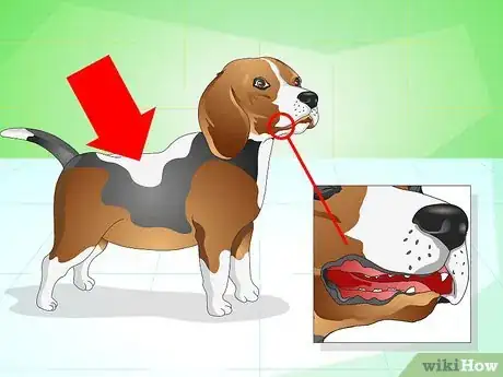 Image titled Get Your Dog to Eat the Dog Food It Does Not Like Step 14