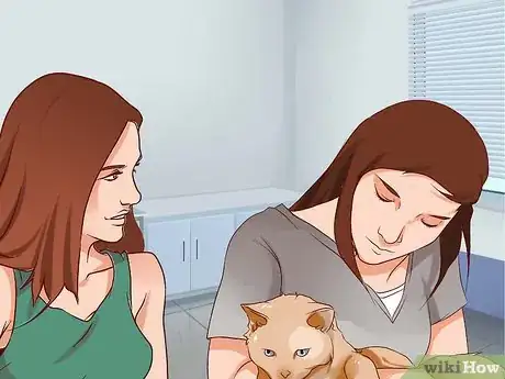 Image titled Stop Being Afraid of Cats Step 9
