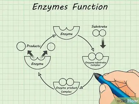 Image titled Study the Basics of Biochemistry Step 7
