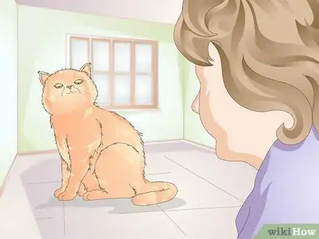 Image titled Teach Your Cat to Kiss Step 7