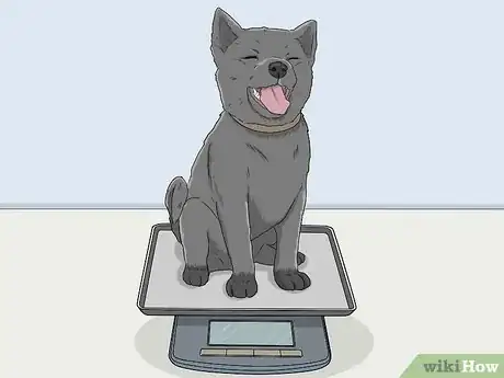 Image titled Measure a Dog for a Crate Step 4