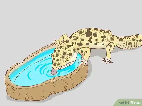 Image titled Hand Feed a Blind Leopard Gecko Step 8