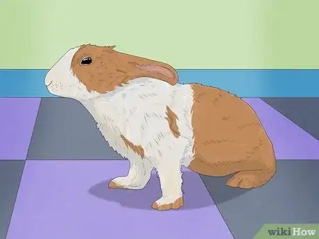 Image titled Read Bunny Body Language Step 10