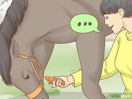 Image titled Teach a Horse to Bow Step 14