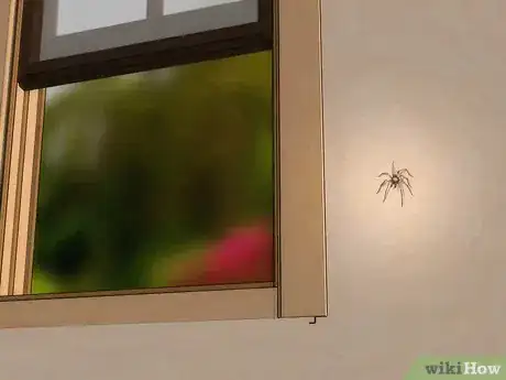 Image titled Get Spiders Out of Your House Without Killing Them Step 1