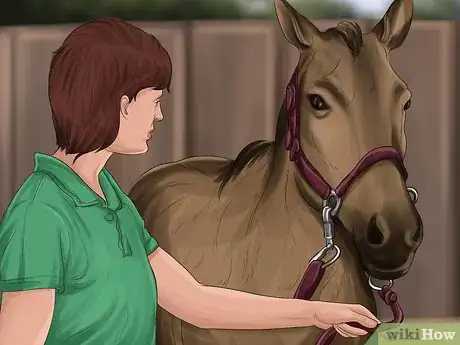 Image titled Care for Your Horse After Riding Step 15