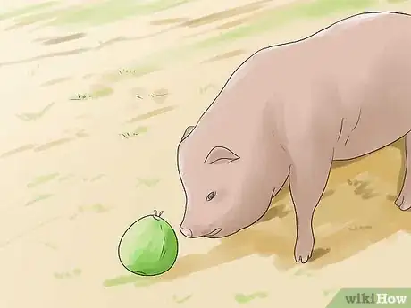 Image titled Care for a Pet Pig Step 3