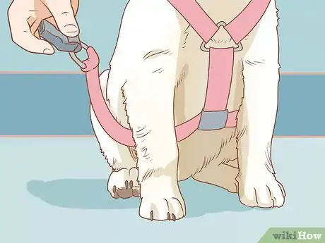 Image titled Put on a Dog Harness Step 11