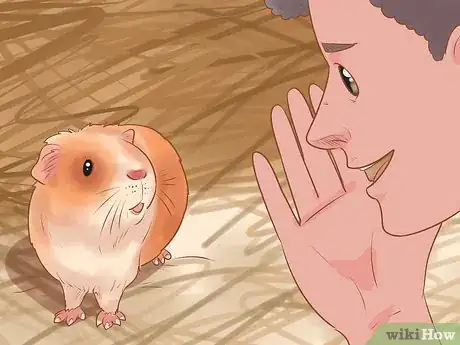 Image titled Bond With Your Guinea Pig Step 10