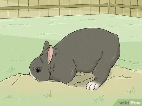 Image titled Stop a Bunny from Chewing Its Cage Step 9
