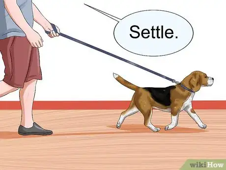 Image titled Train Your Dog to Be Calm Step 4