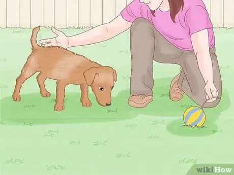 Image titled Stop a Dog from Humping Step 9