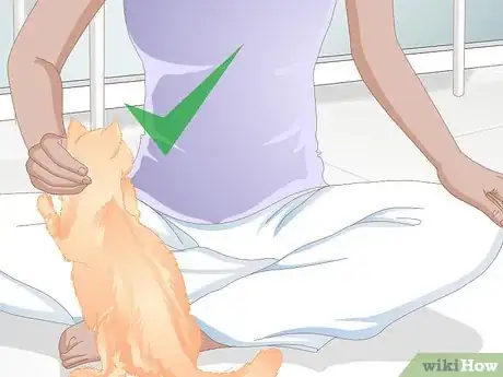 Image titled Bring a New Cat or Kitten Home Step 10