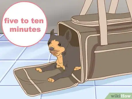 Image titled Get Your Dog to Ride in a Carrier Step 5