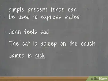 Image titled Teach the Present Simple Tense Step 6