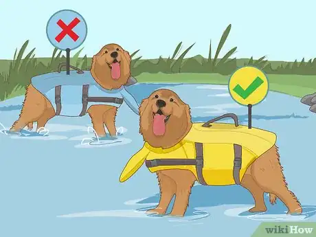 Image titled Choose the Right Life Jacket for Your Dog Step 5