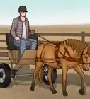 Train a Horse to Drive