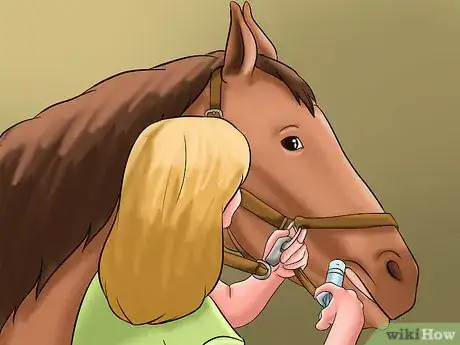 Image titled Give Horses Liquid Medications Step 8