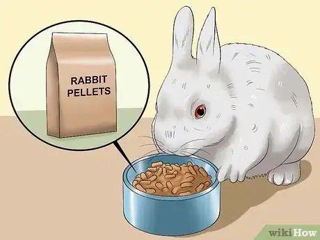 Image titled Feed a House Rabbit Step 2