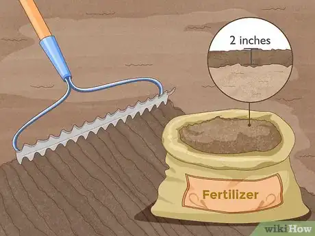 Image titled Grow Potatoes from Potatoes Step 5