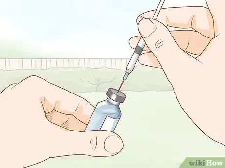 Image titled Give Cattle Injections Step 12