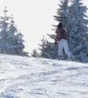 Snowboard