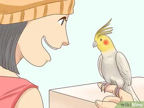 Image titled Know if a Cockatiel Is Right for You Step 11