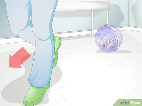 Image titled Use a Hamster Ball Step 16
