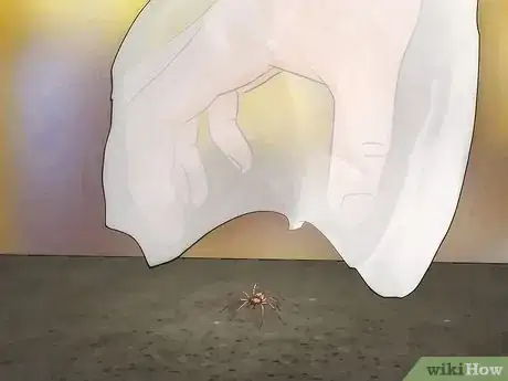 Image titled Get Spiders Out of Your House Without Killing Them Step 17