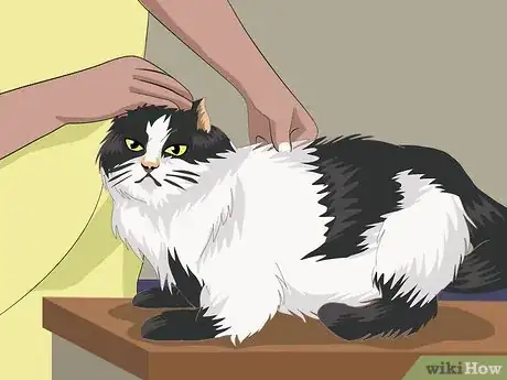Image titled Stop Your Cat from Waking You at Night Step 7