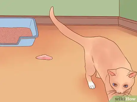 Image titled Know if Your Cat Is Afraid of Something Step 9