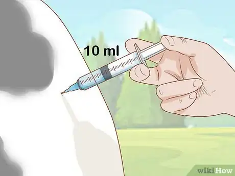 Image titled Give Cattle Injections Step 25