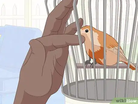 Image titled Train Your Bird Step 3