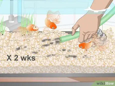 Image titled Clean Fish Tank Rocks Step 15