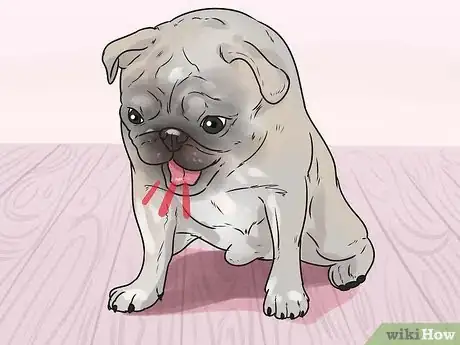 Image titled Save a Choking Dog Step 1