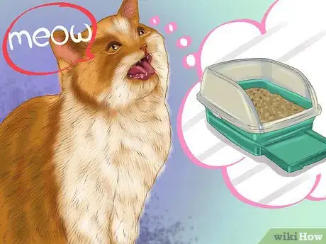 Image titled Understand the Cat's Meow Step 11