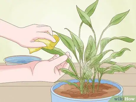 Image titled Revive a Plant Step 22