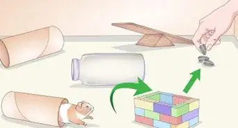 Teach a Hamster Tricks