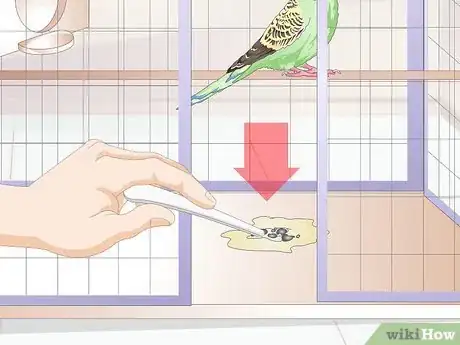 Image titled Tell when a Parakeet Is Sick Step 8