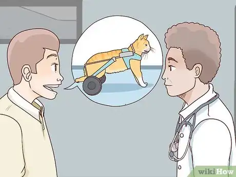 Image titled Deal with a Paralyzed Cat Step 10