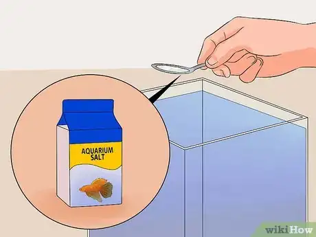 Image titled Cure Betta Fish Diseases Step 16