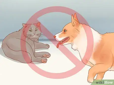 Image titled Stop Your Cat from Attacking Your Dog Step 5